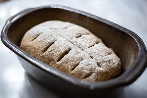 Pampered Chef Kamut-Dinkel-Roggen-Sauerteigbrot Teigling im kleinen Zaubermeister