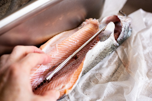 Fischhaken einsetzen bei Forelle