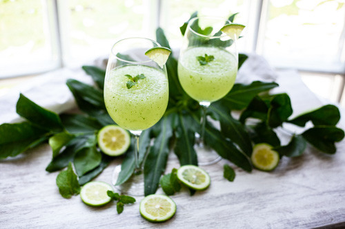 Thermomix Mojito-Slush