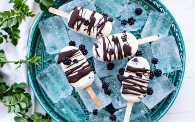 Joghurt-Eis mit Brombeeren mit dem Thermomix