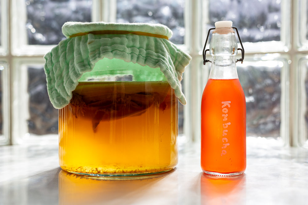 Angesetzter Kombucha